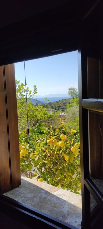 Alikias Country House Panormos  外观 照片