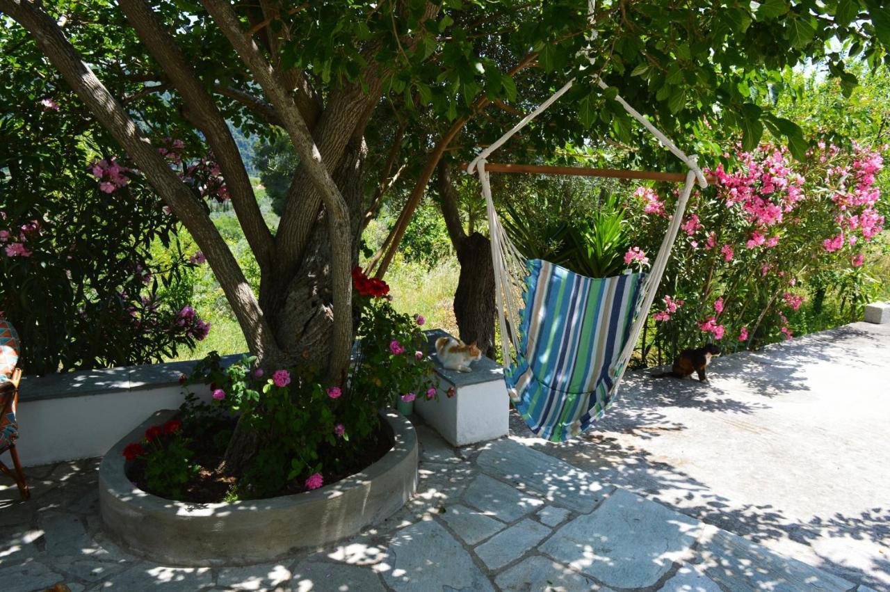 Alikias Country House Panormos  外观 照片