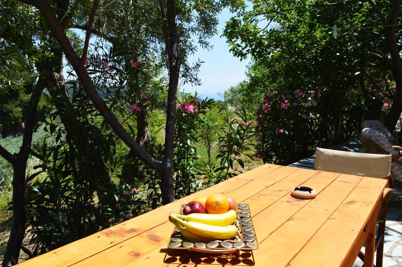 Alikias Country House Panormos  外观 照片