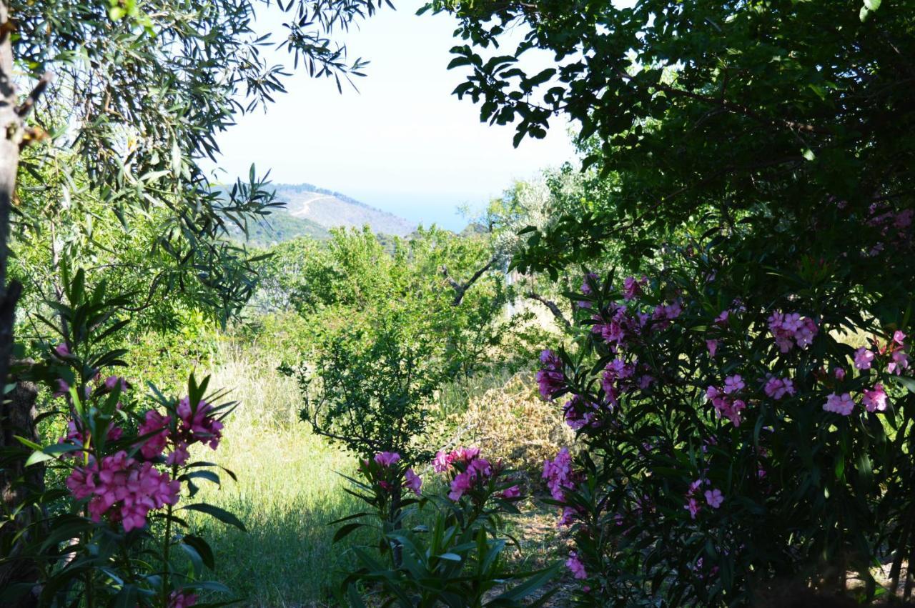 Alikias Country House Panormos  外观 照片