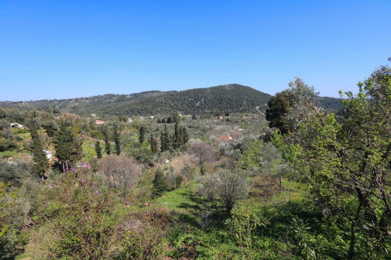 Alikias Country House Panormos  外观 照片