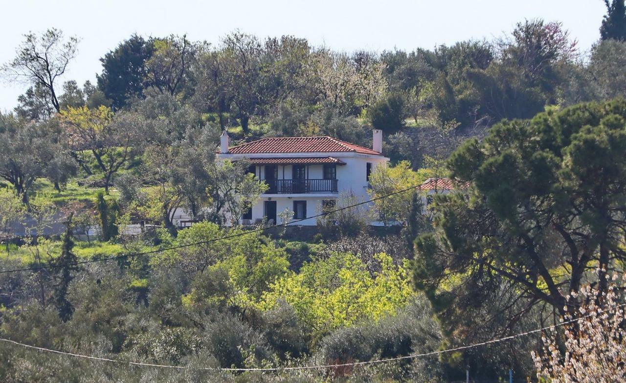 Alikias Country House Panormos  外观 照片